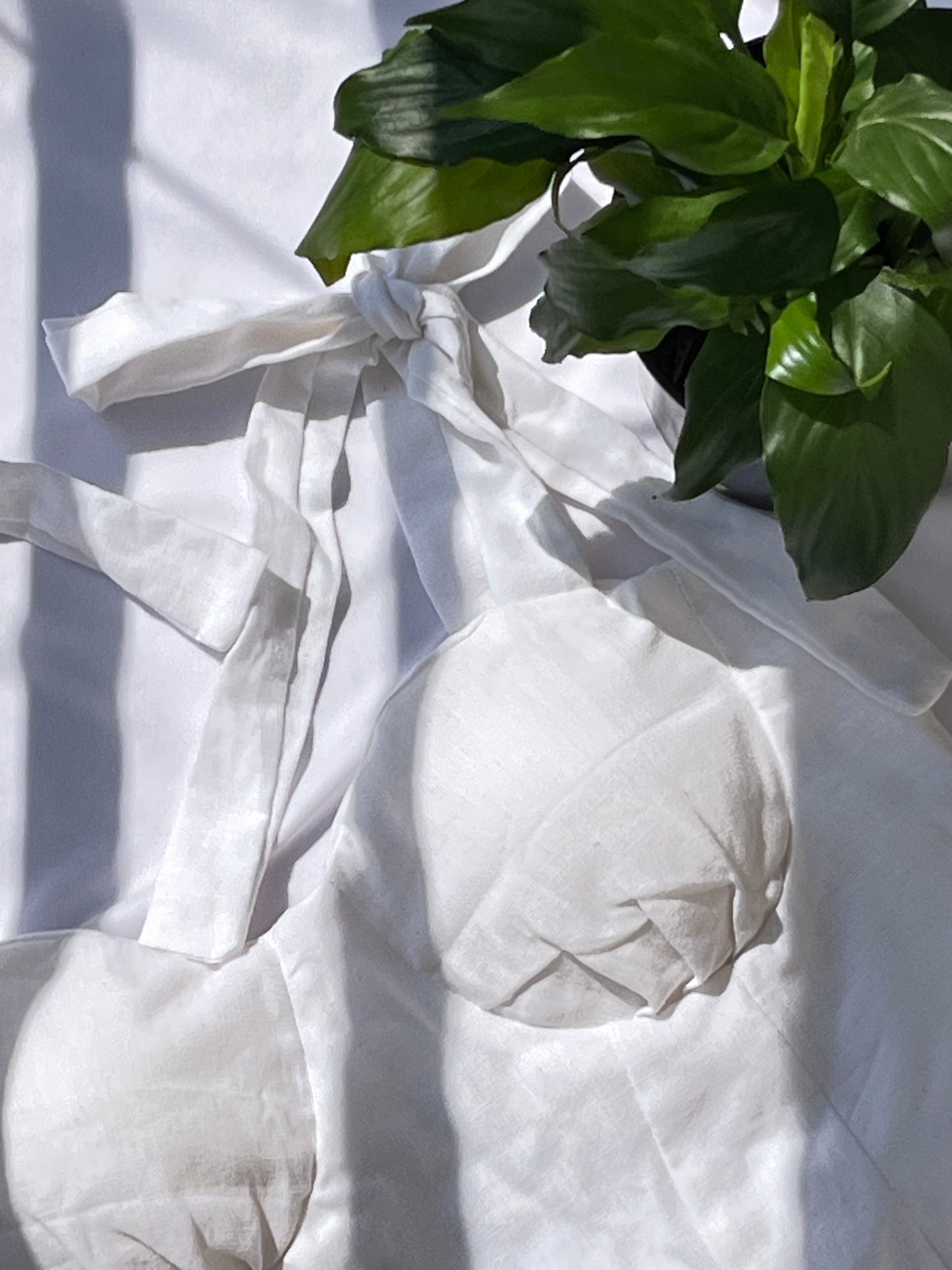 Ivory Dream Corset Top