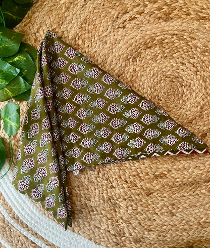 Botanical code Reversible Bandana
