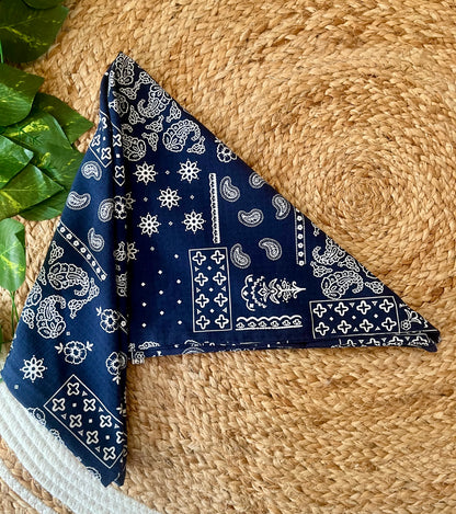 Paisley Printed Bandana