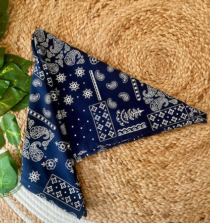 Paisley Printed Bandana