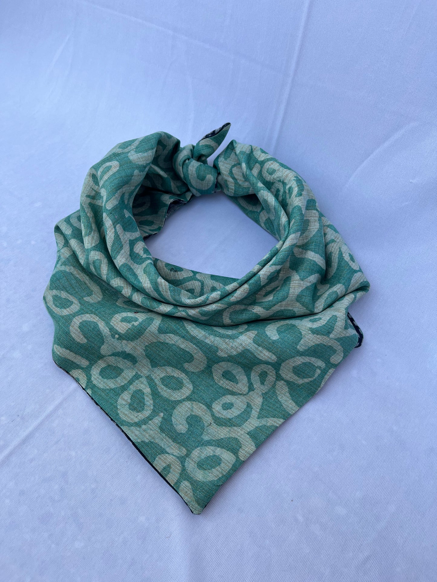 Electric Ivy Reversible Bandana